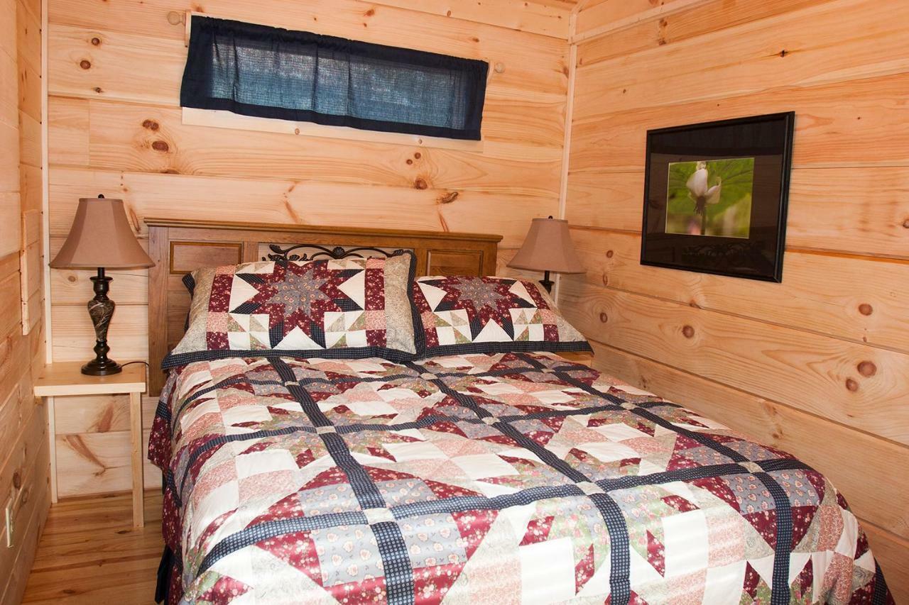 Pine Gables Cabins Villa Lake Lure Ngoại thất bức ảnh